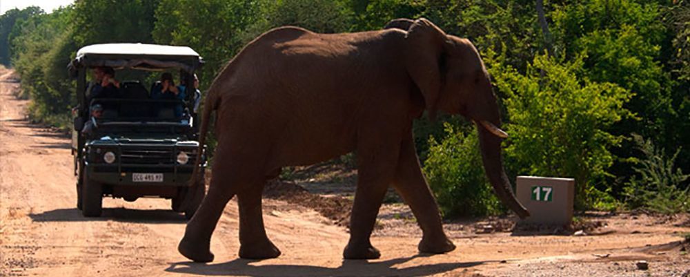 Thaba Legae Guest Lodge Rustenburg Kültér fotó